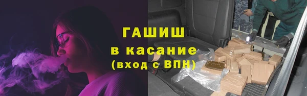прущие грибы Сосновый Бор