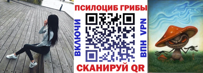 Галлюциногенные грибы прущие грибы купить наркотики цена Давлеканово